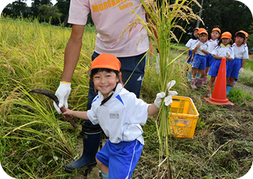 学校法人桐花学園もろかわ認定こども園